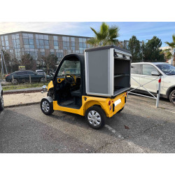 Ligier Pulse 4 L1 Électrique Occasion Véhicule Utilitaire Professionnel Côté Gauche